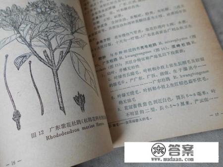 请问西洋参的功效与作用是什么？