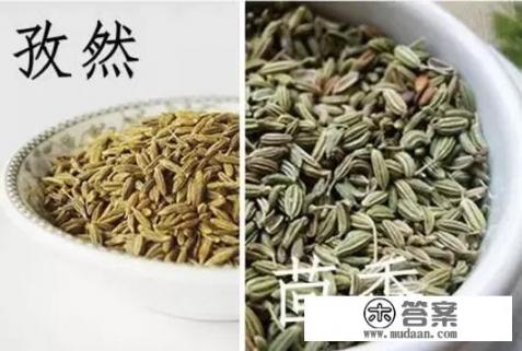 小茴香图片和孜然的区别？