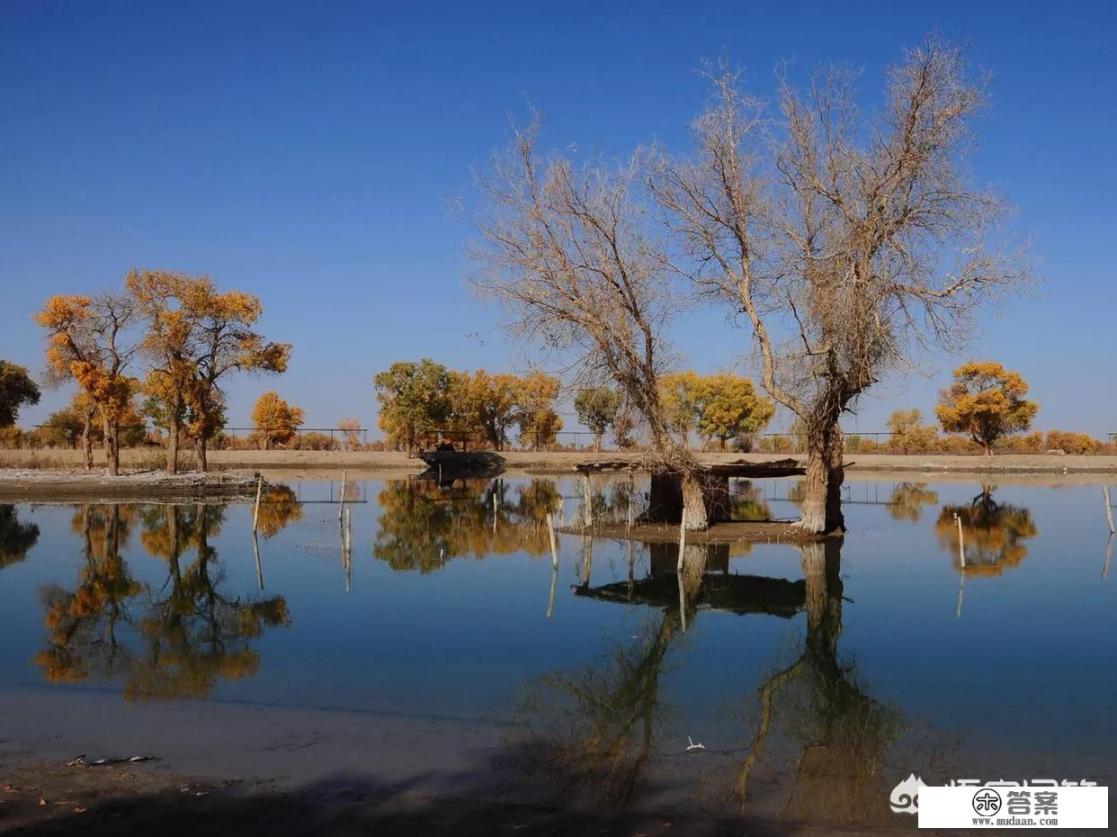 新疆的尉犁县都有什么好看的风景？