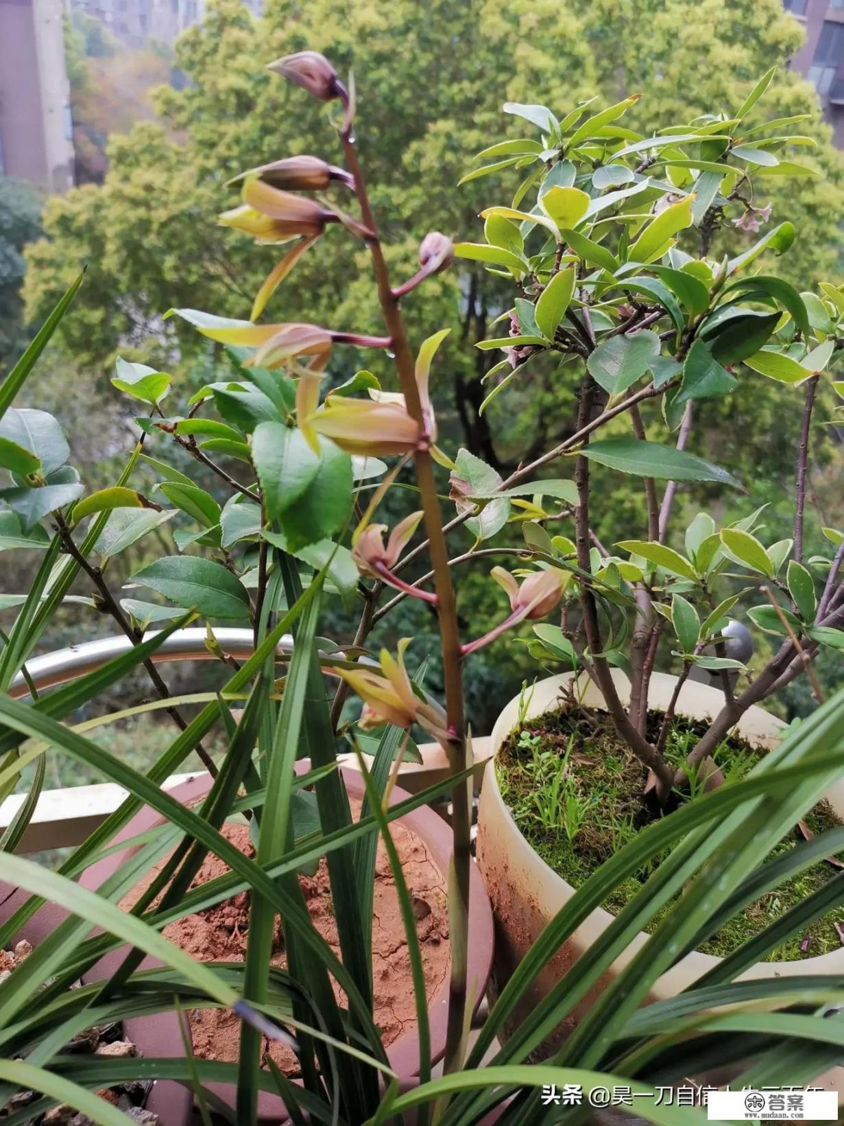 信用卡逾期律师函都是快递发送吗?有催收上门送的可能性吗?