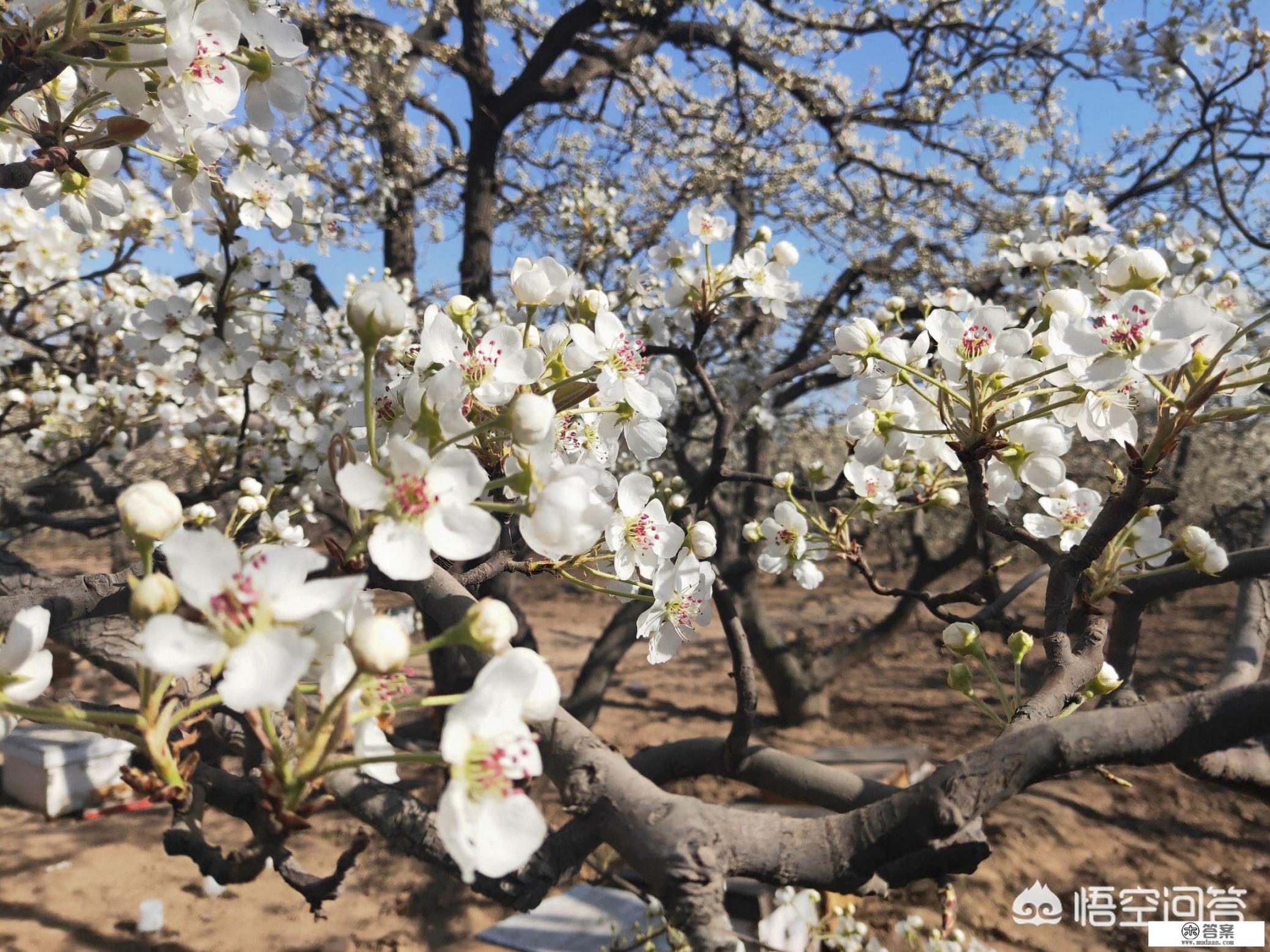 河北省赵县的县组词？