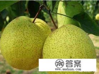 河北省赵县的县组词？