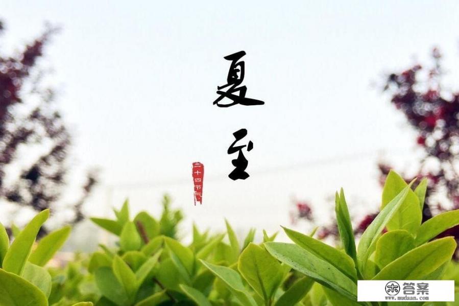 “冬至饺子夏至面”,夏至为什么要吃面? “冬至饺子夏至面”,夏至为什么要吃面?