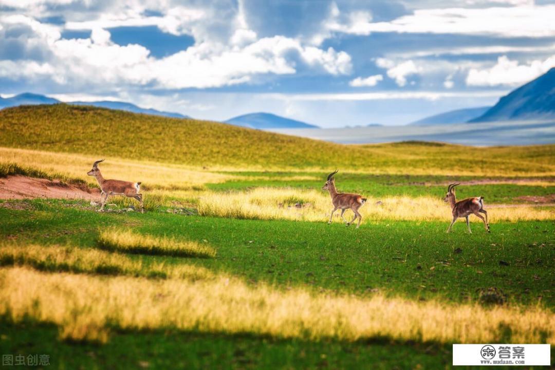 电视机处理器排名天梯图2022? 电视机处理器排名天梯图2022?