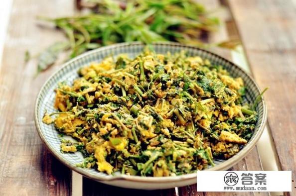 春天马上就来了，各种野菜也随之而来，你知道的野菜有哪些？