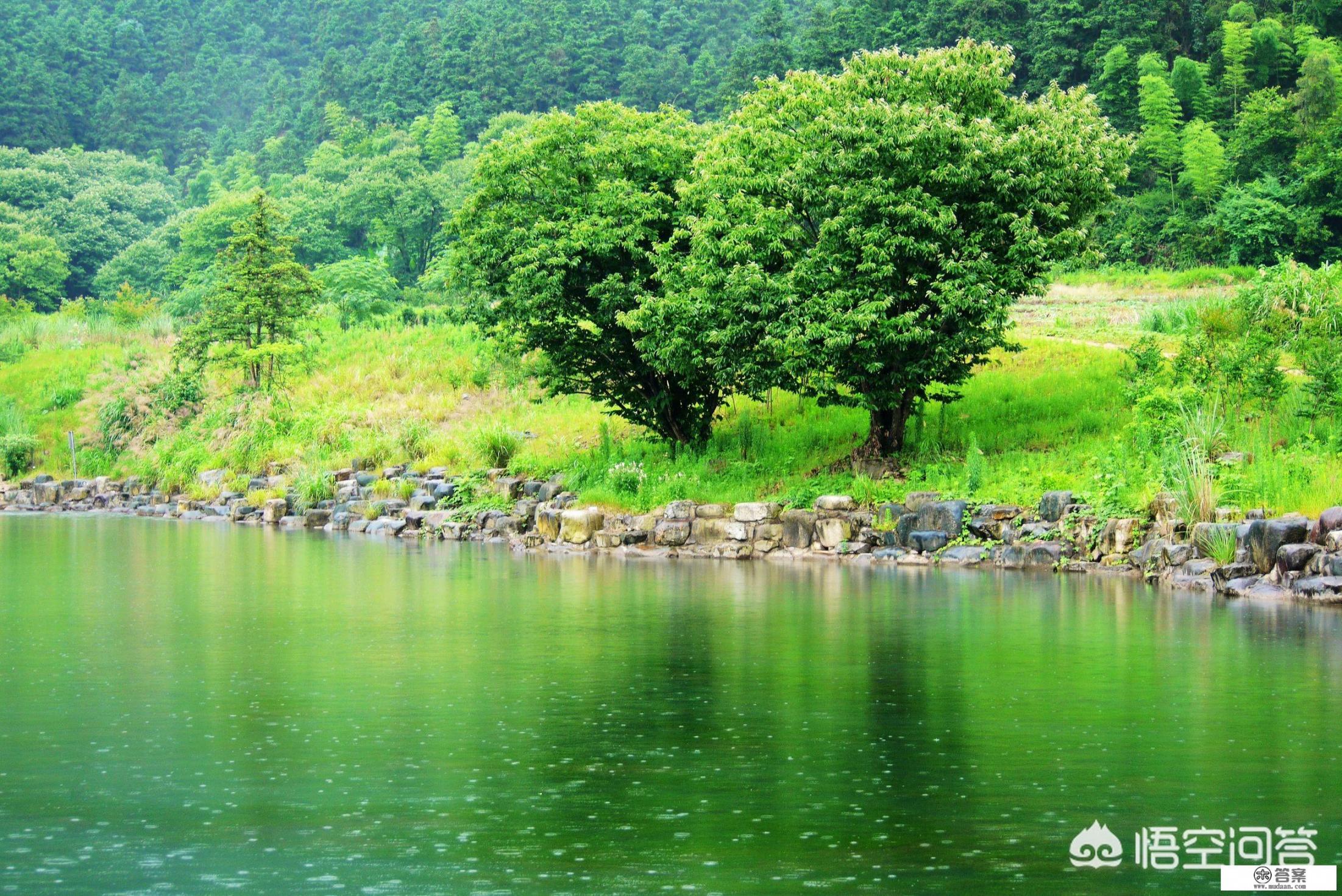 龙虎山攻略游玩线路推荐一下？