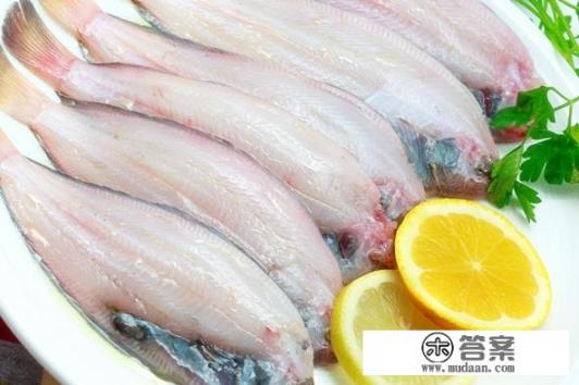 龙利鱼和巴沙鱼的区别有哪些? 龙利鱼和巴沙鱼的区别有哪些?