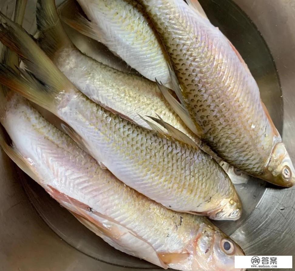 自制手工鱼丸的做法？