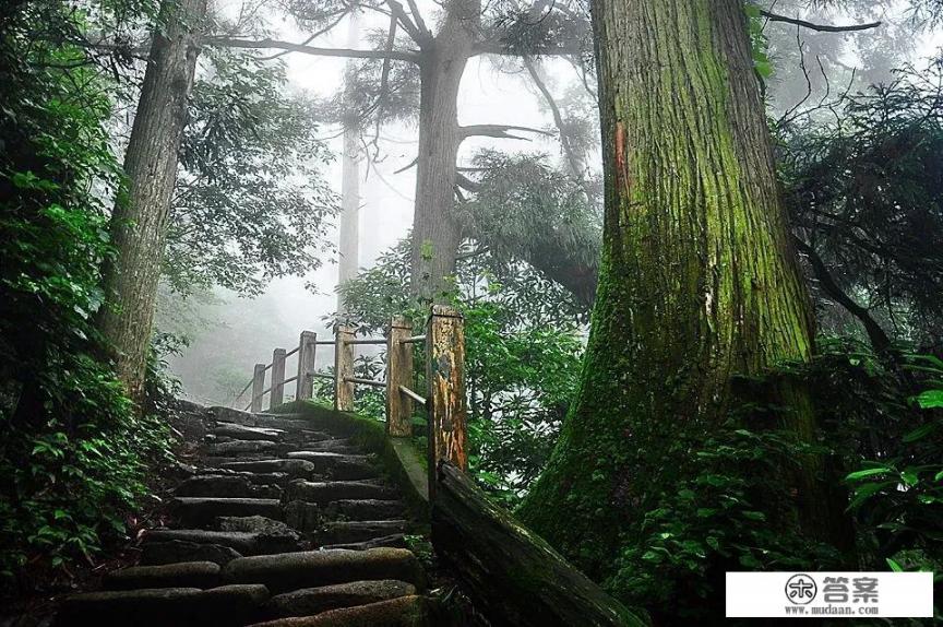 安吉天目山自驾游攻略？