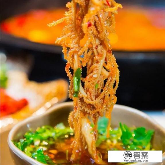 成都春熙路美食攻略？