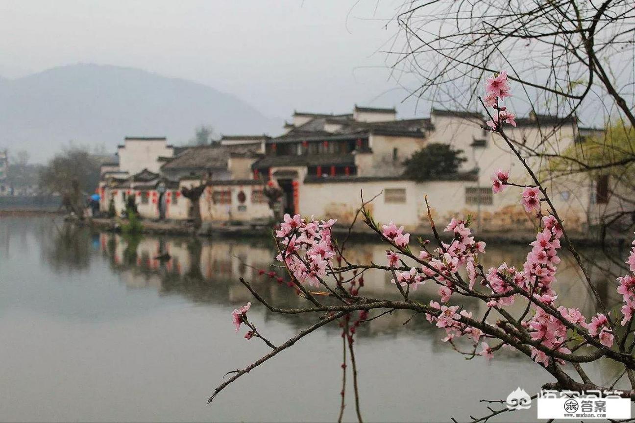 宏村停车攻略？