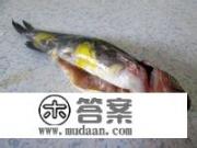 嘎鱼炖豆腐的家常做法？