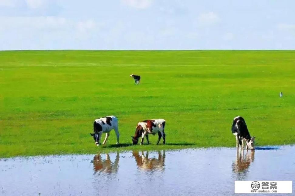 内蒙古大草原和呼伦贝尔大草原有啥区别？