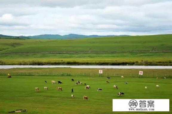 南京去内蒙古呼伦贝尔攻略？