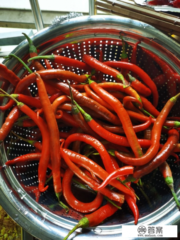 豆瓣酱制作方法最正宗的做法? 豆瓣酱制作方法最正宗的做法?