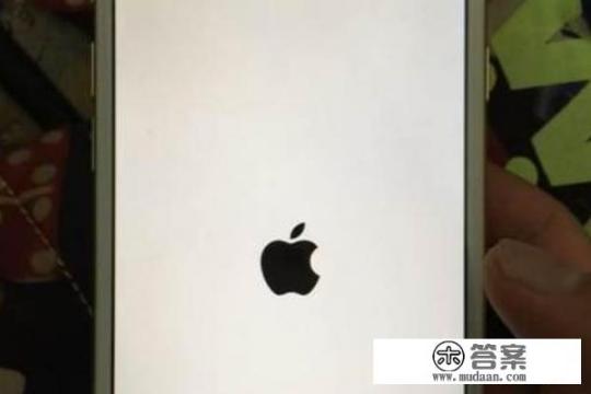 苹果5有多少型号？