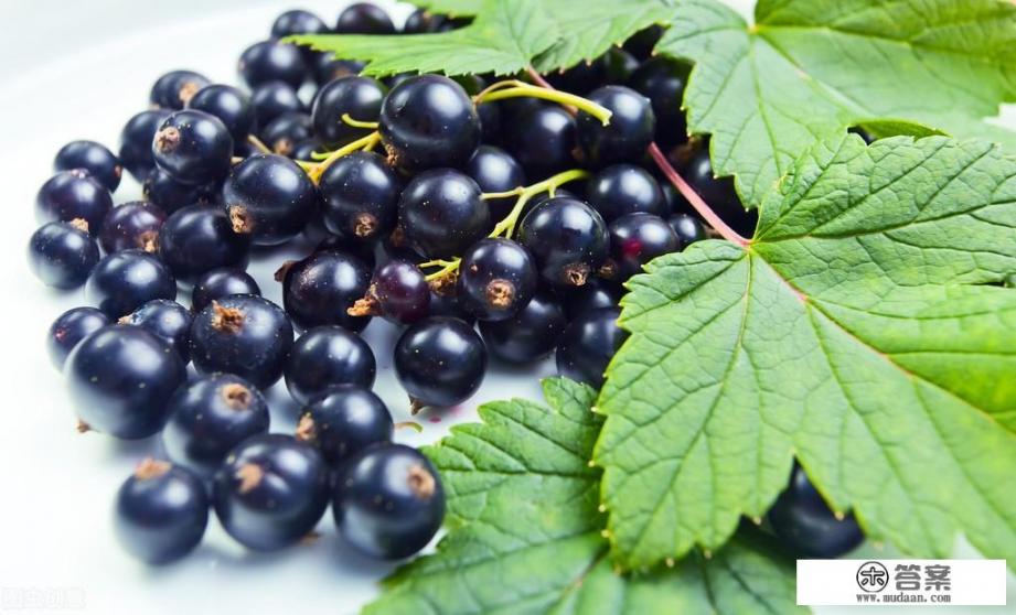 黑加仑葡萄干与普通葡萄干哪种好? 黑加仑葡萄干与普通葡萄干哪种好?