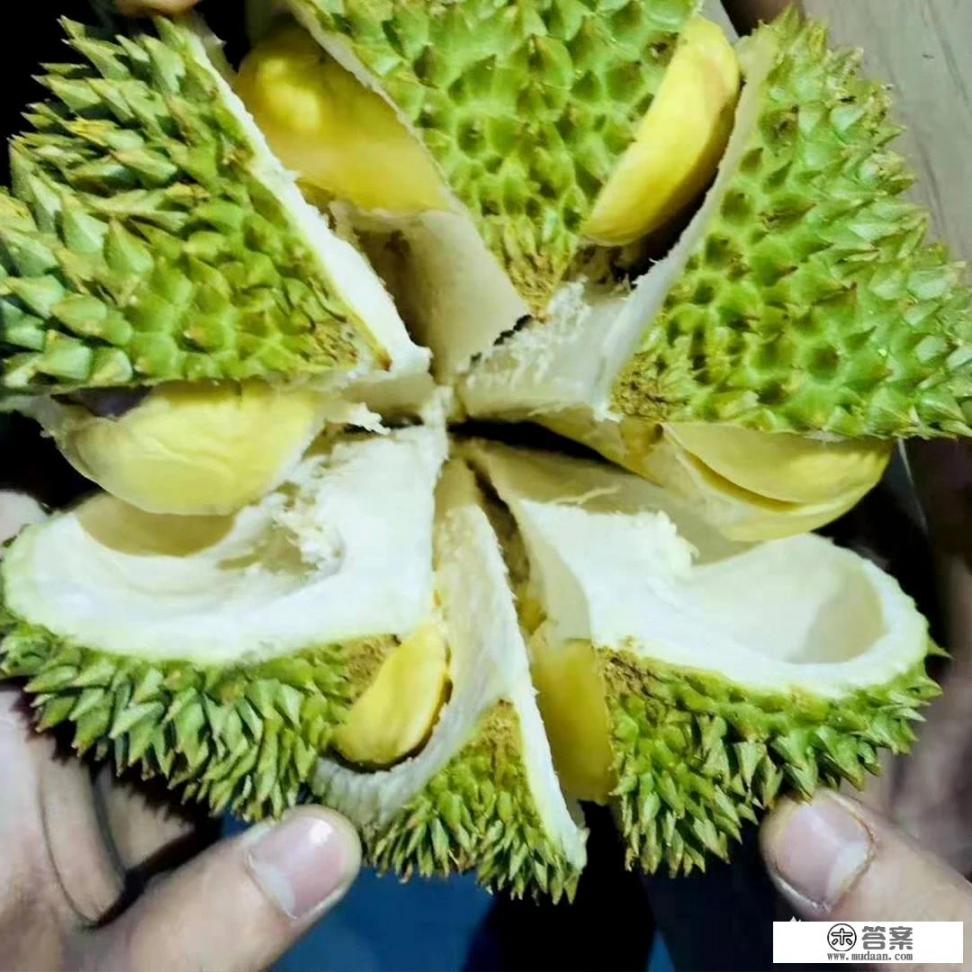 榴莲吃多了，是不是会上火呀？