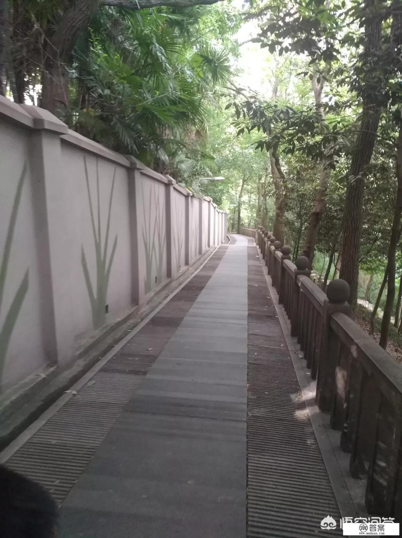 想去普吉岛自由行，具体该怎么安排？