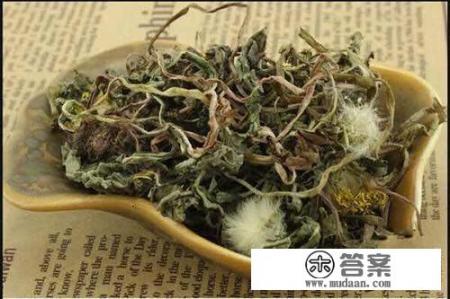 蒲公英泡水喝,都有哪些功效?有啥禁忌吗? 蒲公英泡水喝,都有哪些功效?有啥禁忌吗?