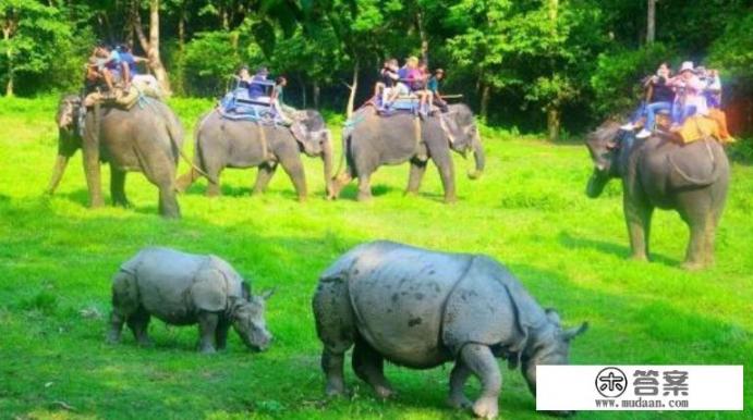 去尼泊尔旅游攻略? 去尼泊尔旅游攻略?