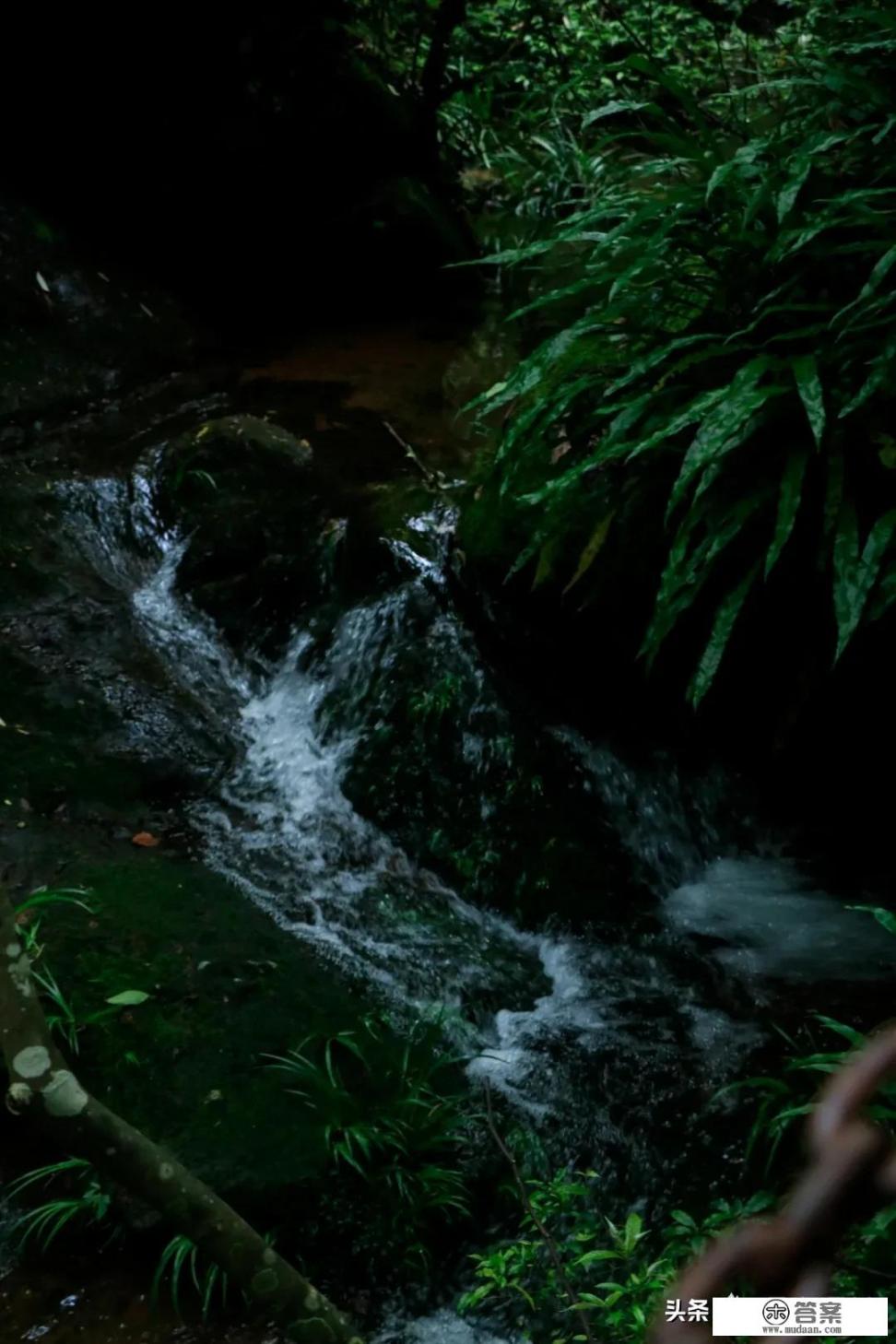 泡茶水排行榜前十名？