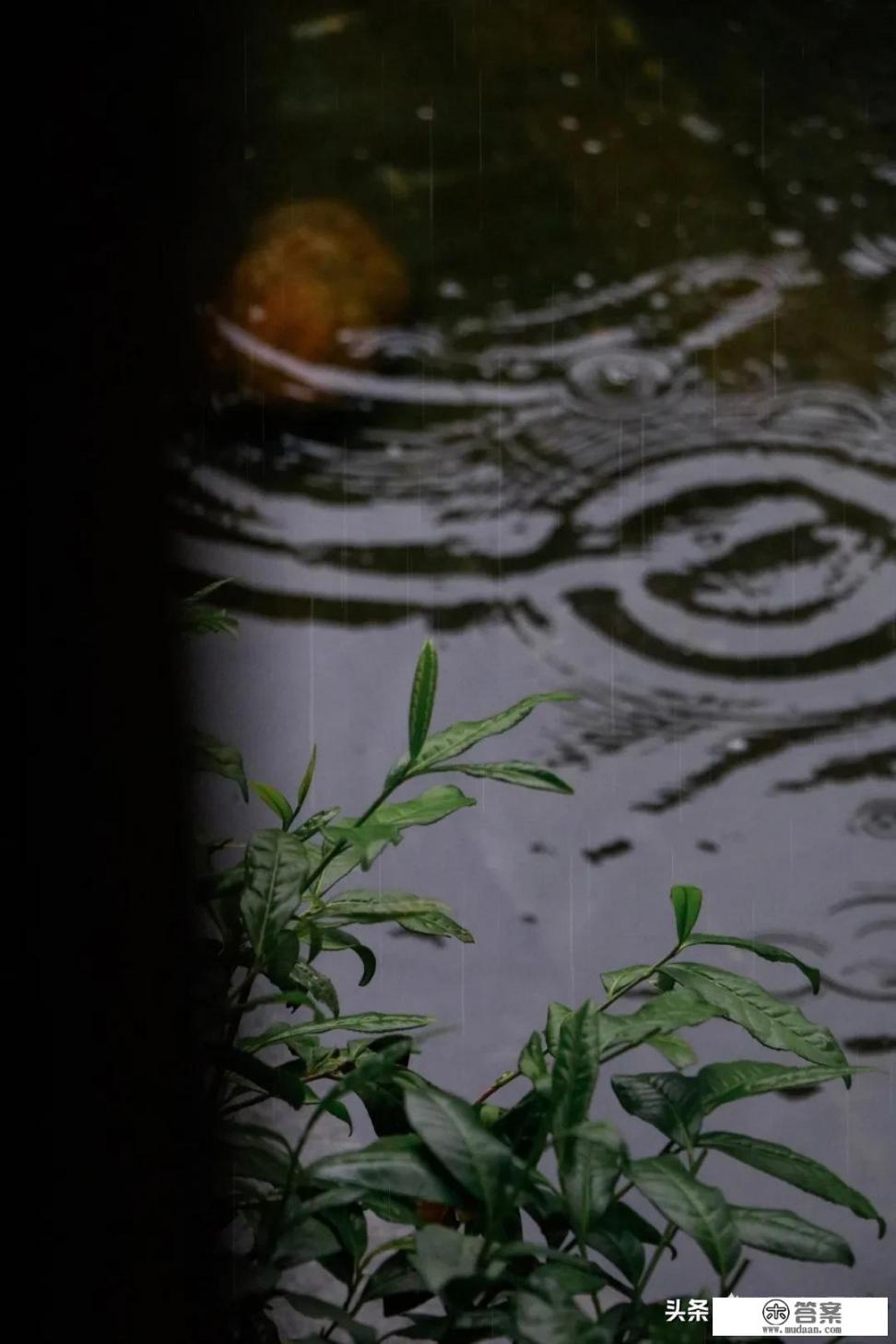 泡茶水排行榜前十名？