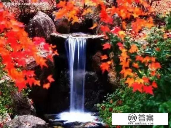 什么东西醒酒最好？