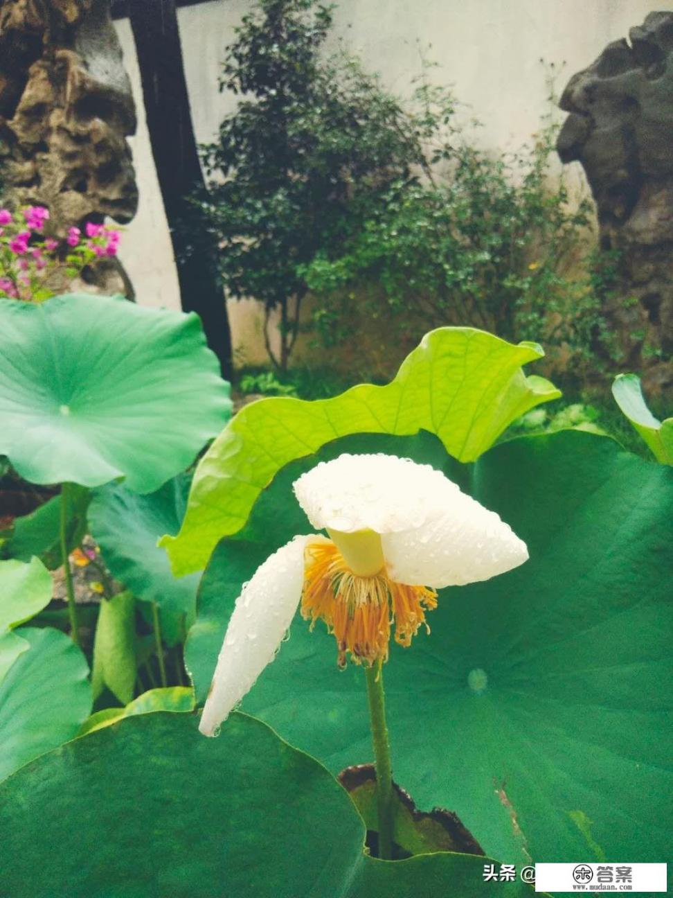 什么东西醒酒最好？