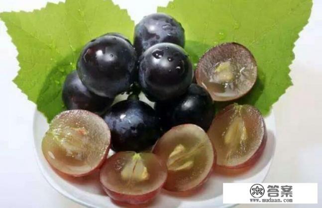 花青素有什么用? 花青素有什么用?