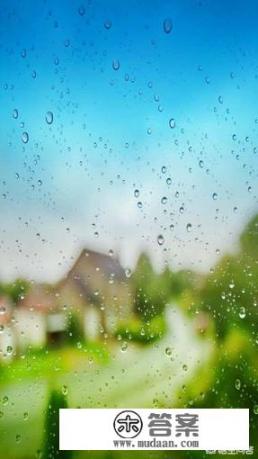 什么是胶囊旅馆？