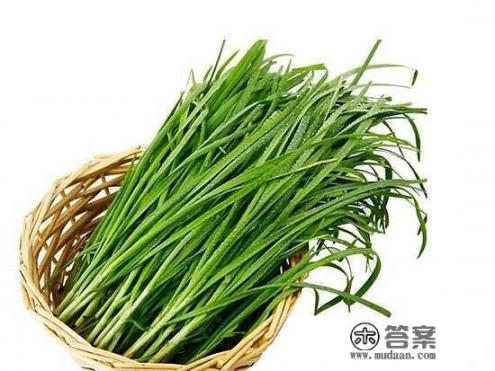 男人肾虚吃什么食物能补？