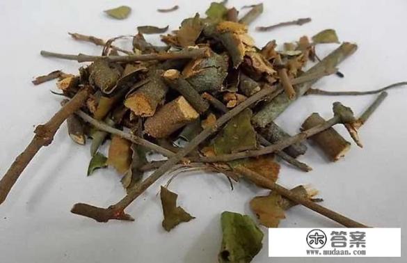 桑寄生的功效与作用及禁忌？