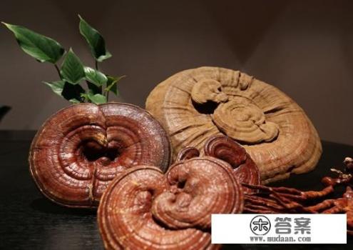 癌症病人能吃灵芝孢子粉吗？