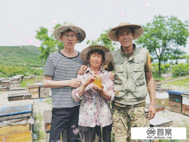 喝蜂蜜会胖吗？