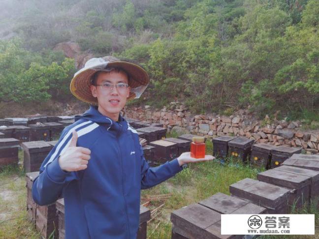 喝蜂蜜会胖吗？