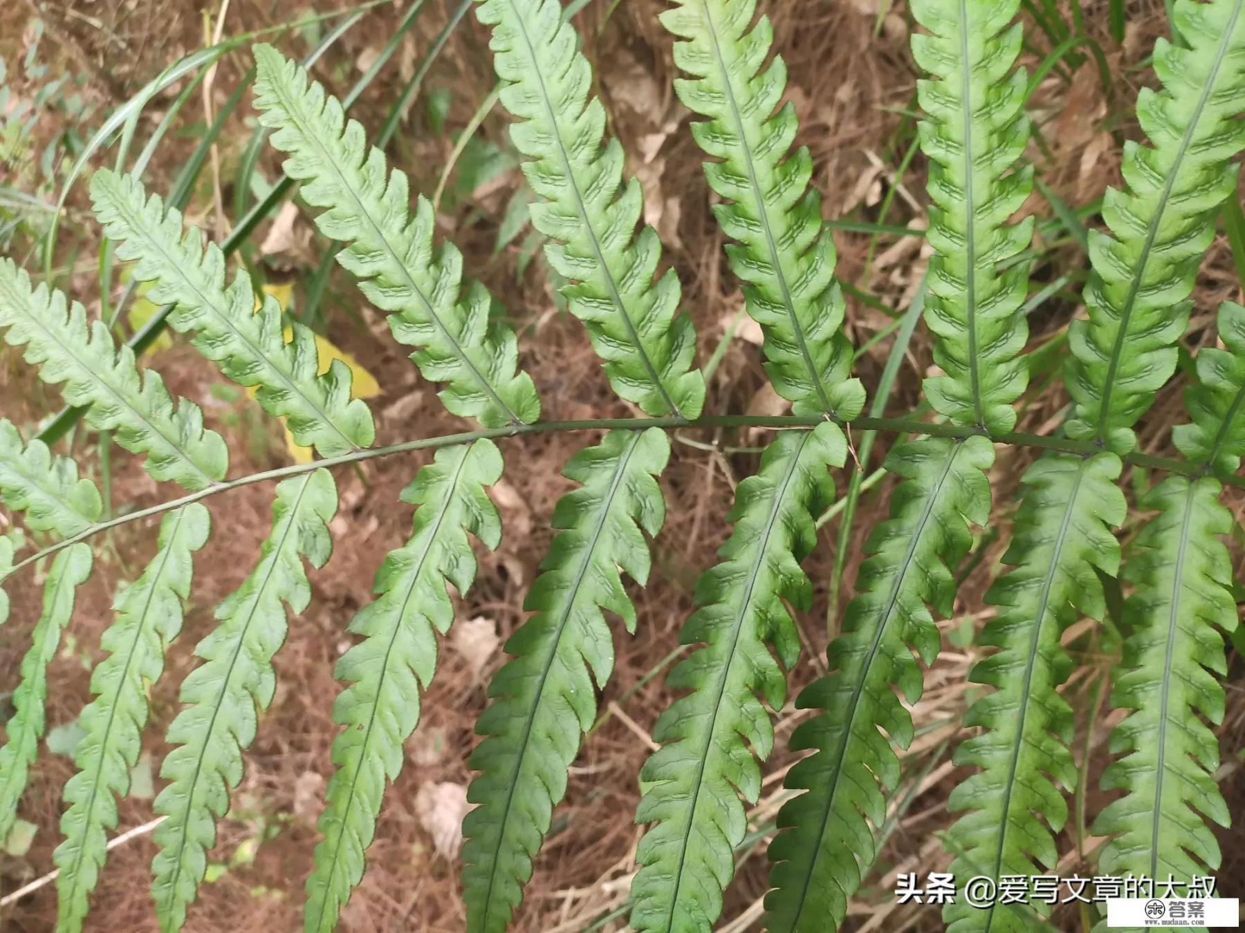 腊八节的六个传说、五个习俗,你知道多少? 腊八节的六个传说、五个习俗,你知道多少?