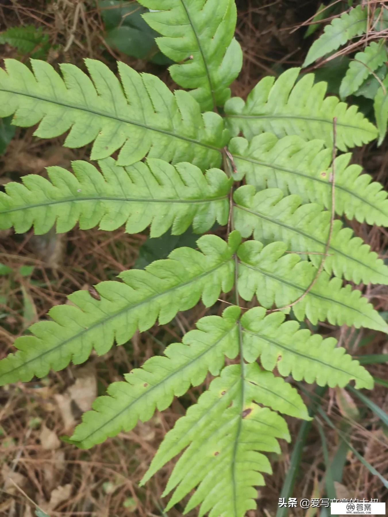 腊八节的六个传说、五个习俗,你知道多少? 腊八节的六个传说、五个习俗,你知道多少?