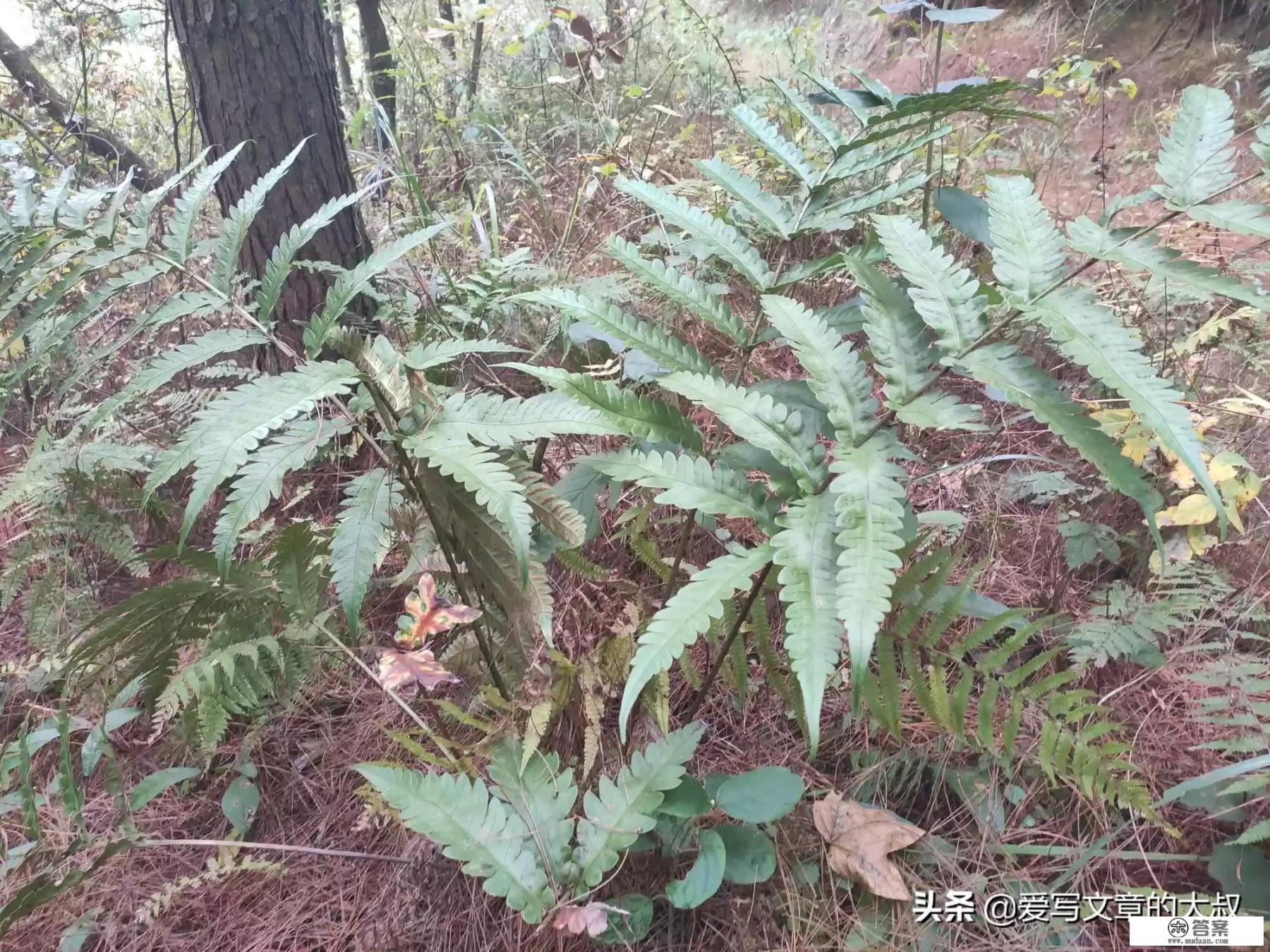 腊八节的六个传说、五个习俗,你知道多少? 腊八节的六个传说、五个习俗,你知道多少?