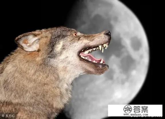 赶尸是哪个地方风俗？