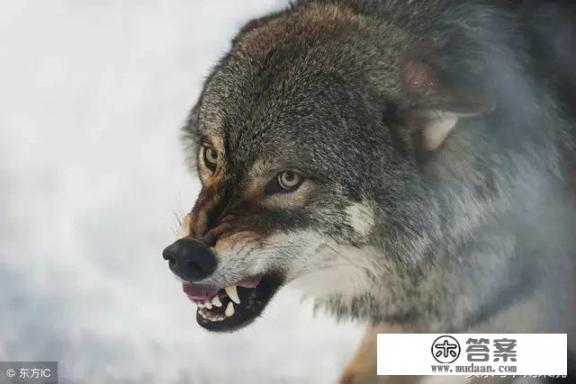 赶尸是哪个地方风俗？