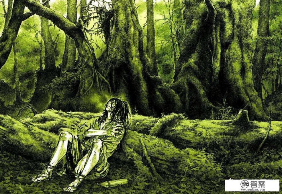 浪客行是电影吗? 浪客行是电影吗?