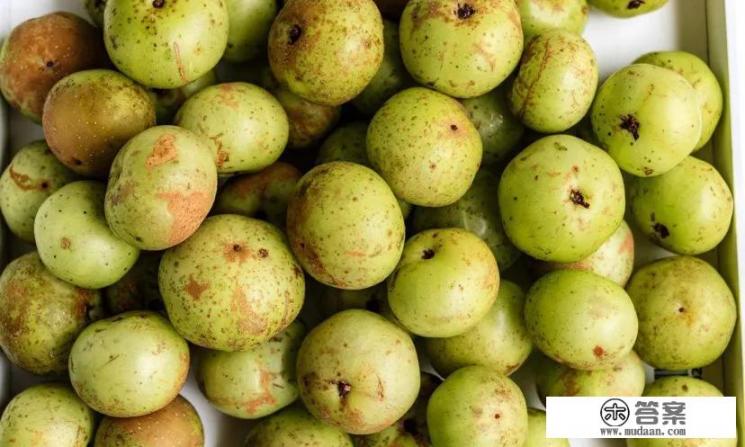 油柑果,是什么?