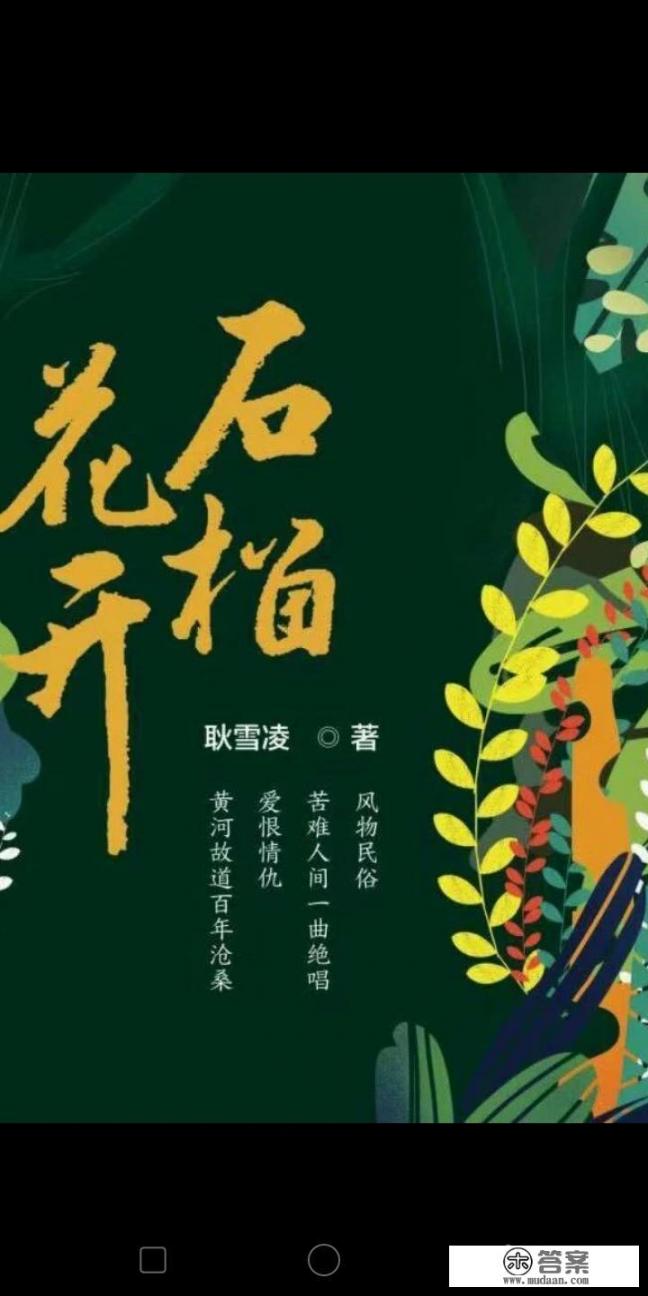 马甲文属于什么类型小说？