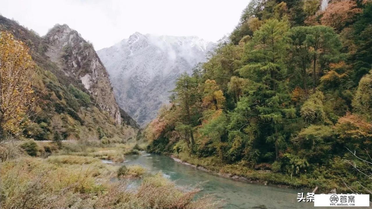 你认为露营分别有哪些好处与坏处？