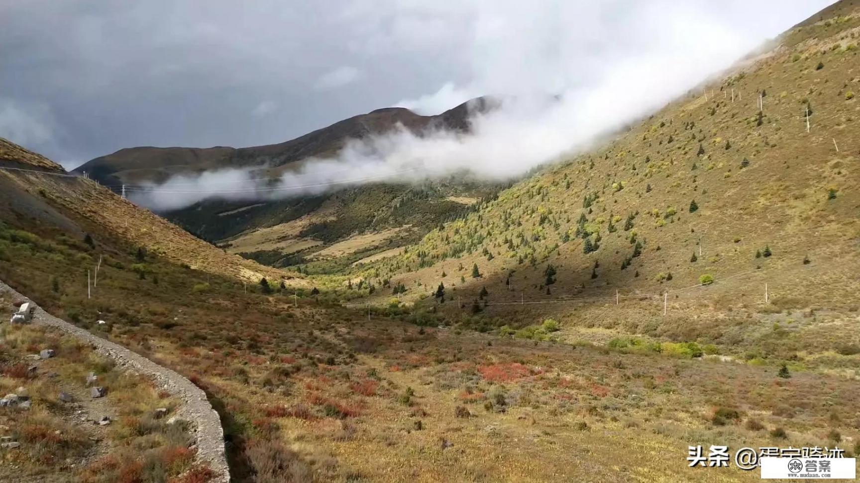 你认为露营分别有哪些好处与坏处？