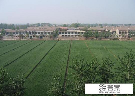 人民公社的特点？