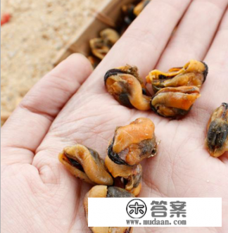 淡菜干怎么洗? 淡菜干怎么洗?