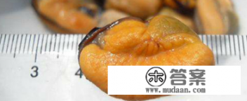 淡菜干怎么洗? 淡菜干怎么洗?