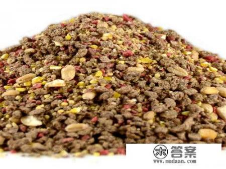 钓草鱼有什么饵料最好？